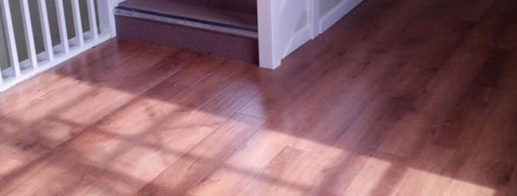 Local independent business in Dorset